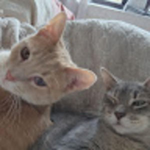 Meet your Posher, Jordan